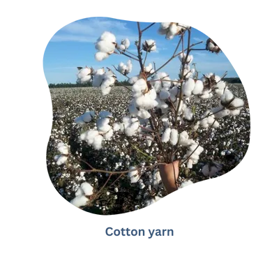 Raw materials where does Cotton comes from - Rochak Handknit